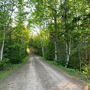 Meet your Posher, Bridget